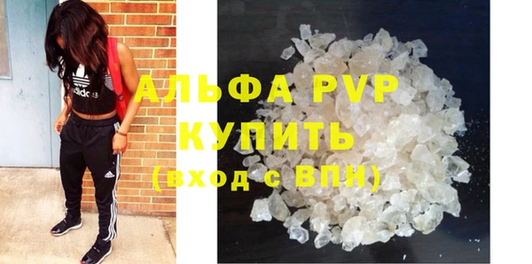 ГАЛЛЮЦИНОГЕННЫЕ ГРИБЫ Белокуриха